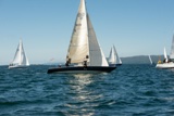 vaila ber8 whyw22 sun 800_2015yi